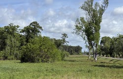 Klondyke Road, Long Beach, MS 39560