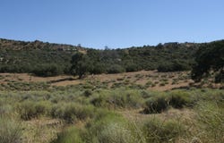Umtali Road, Tehachapi, CA 93561