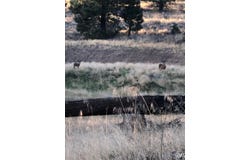 16300 Jungfrau Way, Tehachapi, CA 93561