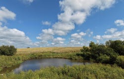130th Ave, Murray, IA 50174