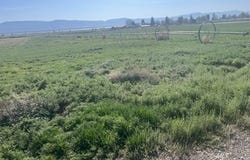 29855 County Rd 1, Cedarville, CA 96104