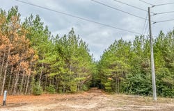 012 CR 2307, Cleveland, TX 77327