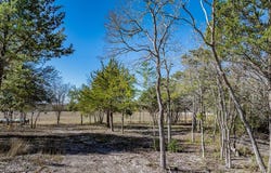 Bauer Rummel, Round Top, TX 78954