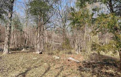 Peace Mountain Road, Mountain View, AR 72560