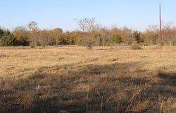3415, Wills Point, TX 75169