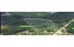 1794 Carters Bridge, Claxton, GA 30417