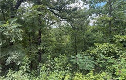 Tunnel Dam Rd, Macks Creek, MO 65786
