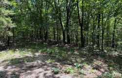 Wildcat Ln, Equility, IL 62934