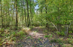 PEARL Street, ONEIDA, WI 54155-0000
