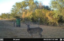 Tract 2 FM 2687, Zapata, TX 78076