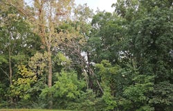 241 Blackhawk Trace, GALENA, IL 61036