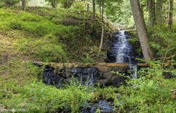 2020 Deermont Rd, Oakdale, TN 37829
