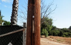 Mulberry Street, Wildomar, CA 92584