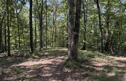 BOOZER RD, heflin, AL 36264