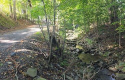 2WP State Hwy 41, Afton, NY 13730