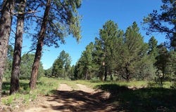 344 FOREST Rd, Pecos, NM 87552