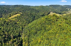 2918 Copper Creek Road, Duffield, VA 24244