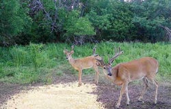 Rd 280 & Rd S, Admire, KS 66830