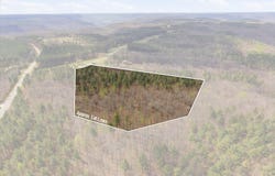 Thunder Ridge Drive, South Pittsburg, TN 37380