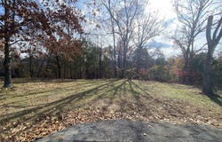 Seagull Lane, Cape Fair, MO 65624