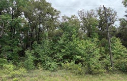 4120-2 Melanie St, Hastings, FL 32145