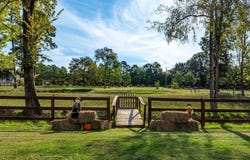 29 Piney, Bigelow, AR 72016