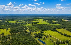 6600 150th Place, Wellborn, FL 32094