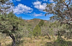 103 Broken Arrow, Fort Davis, TX 79734