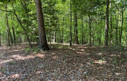 TR 1A Chalcrest Way, Cave Spring, GA 30124