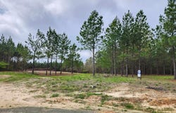 980 County Road 1060, Center, TX 75935