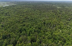 Co Rd 510, MI 49868