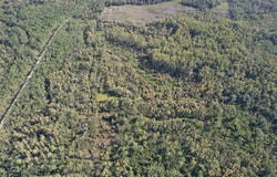 0 Airport Grade Road, Perry, FL 32348