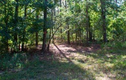 0Camp Oliver Rd, Adger, AL 35006