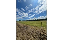 195 PR 33267, Sumner, TX 75486