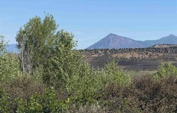 8250 Road, Crawford, CO 81415