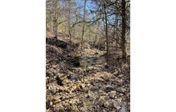 Us Hwy 160, Gainesville, MO 65655