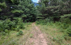 Fosmo Drive lot: 5, Webster, WI 54893