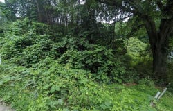 Dodson, East Point, GA 30344