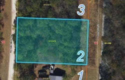 Kicking Mule Lane, Lampe, MO 65681
