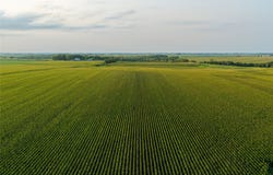 Highway 1, Washington, IA 52353