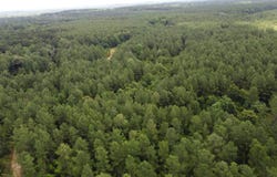 Thomas Cryer Road, Mount Hermon, LA 70450