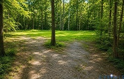 14711 Gatewood Road, DeWitt, VA 23840