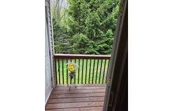 49 Aveonis Ct, Fishkill, NY 12524