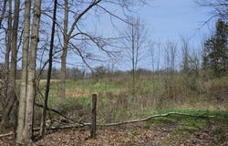 8475 Ross Road, Muir, MI 48860