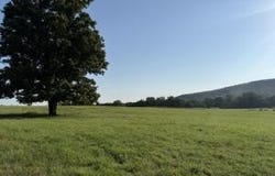 Tbd County Road 906, Green Forest, AR 72638