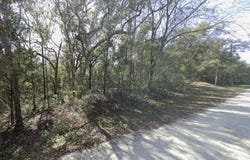 34086 ARROWROCK Street, WEBSTER, FL 33597