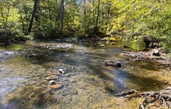 9752 Grapefield Rd, Bastian, VA 24314