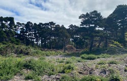 20 St SW, Bandon, OR 97411