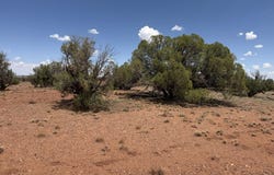 20 N 9160, Concho, AZ 85924