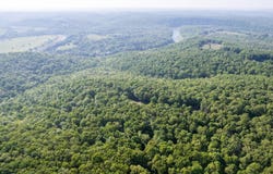 County Rd 317, Tecumseh, MO 65760